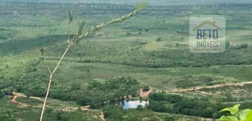 Excelente Fazenda à Venda 20.990 hectares Completa para pecuária | Novo São Joaquim/ MT