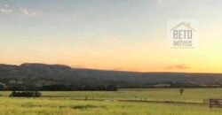 Excelente Fazenda à Venda 20.990 hectares Completa para pecuária | Novo São Joaquim/ MT