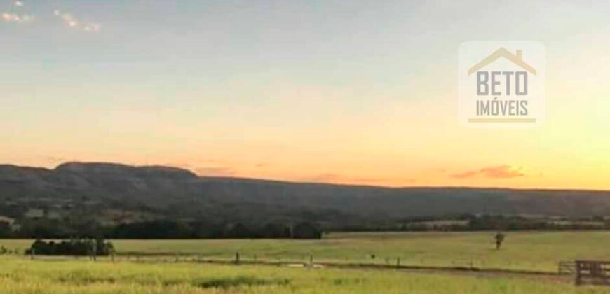 Excelente Fazenda à Venda 20.990 hectares Completa para pecuária | Novo São Joaquim/ MT