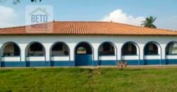 Oportunidade Única! Fazenda Histórica -11.970 ha Pecuária gado bovino e bubalino | Alenquer/ PA