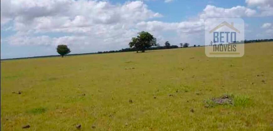 Oportunidade Única! Fazenda Histórica -11.970 ha Pecuária gado bovino e bubalino | Alenquer/ PA