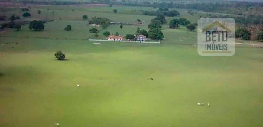 Oportunidade Única! Fazenda Histórica -11.970 ha Pecuária gado bovino e bubalino | Alenquer/ PA