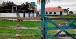 Oportunidade Única! Fazenda Histórica -11.970 ha Pecuária gado bovino e bubalino | Alenquer/ PA