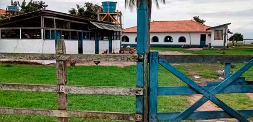 Oportunidade Única! Fazenda Histórica -11.970 ha Pecuária gado bovino e bubalino | Alenquer/ PA