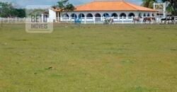 Oportunidade Única! Fazenda Histórica -11.970 ha Pecuária gado bovino e bubalino | Alenquer/ PA