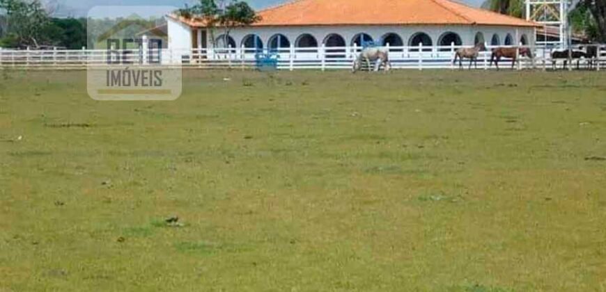 Oportunidade Única! Fazenda Histórica -11.970 ha Pecuária gado bovino e bubalino | Alenquer/ PA