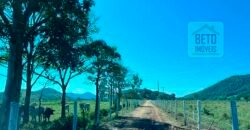 Oportunidade Única! Fazenda à Venda 80 alqueires Potencial agrícola ou pecuário – | Vale do Rio Macaé | RJ