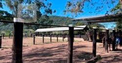 Oportunidade Única! Fazenda à Venda 80 alqueires Potencial agrícola ou pecuário – | Vale do Rio Macaé | RJ