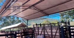 Oportunidade Única! Fazenda à Venda 80 alqueires Potencial agrícola ou pecuário – | Vale do Rio Macaé | RJ