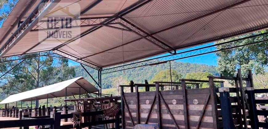 Oportunidade Única! Fazenda à Venda 80 alqueires Potencial agrícola ou pecuário – | Vale do Rio Macaé | RJ