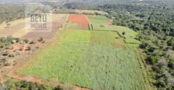 Excelente Fazenda Centenária 1.200 has com Potencial Hídrico e Agricultura | Sete Lagoas/ MG