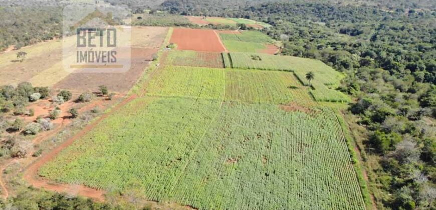 Excelente Fazenda Centenária 1.200 has com Potencial Hídrico e Agricultura | Sete Lagoas/ MG