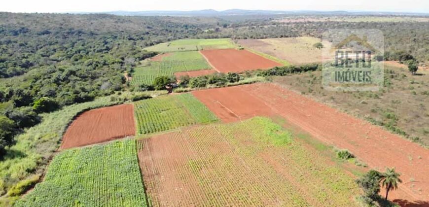 Excelente Fazenda Centenária 1.200 has com Potencial Hídrico e Agricultura | Sete Lagoas/ MG