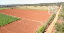 Excelente Fazenda Centenária 1.200 has com Potencial Hídrico e Agricultura | Sete Lagoas/ MG