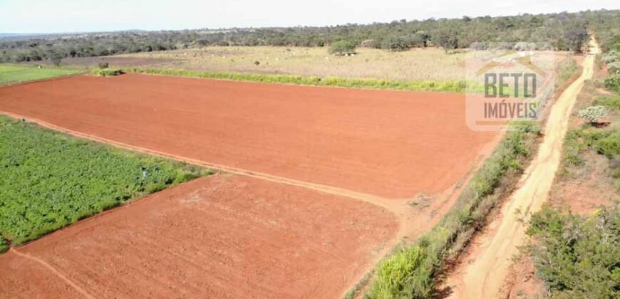 Excelente Fazenda Centenária 1.200 has com Potencial Hídrico e Agricultura | Sete Lagoas/ MG