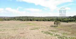 Excelente Fazenda Centenária 1.200 has com Potencial Hídrico e Agricultura | Sete Lagoas/ MG