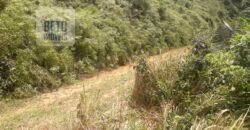 Imperdível! Fazenda à Venda 340 has Ótima localização e Potencial turístico | Angra dos Reis/ RJ