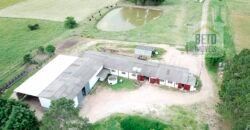 Ótima Fazenda à Venda 78 has Estrutura completa para pecuária ou agricultura Linda casa sede | Região de bagé/ RS