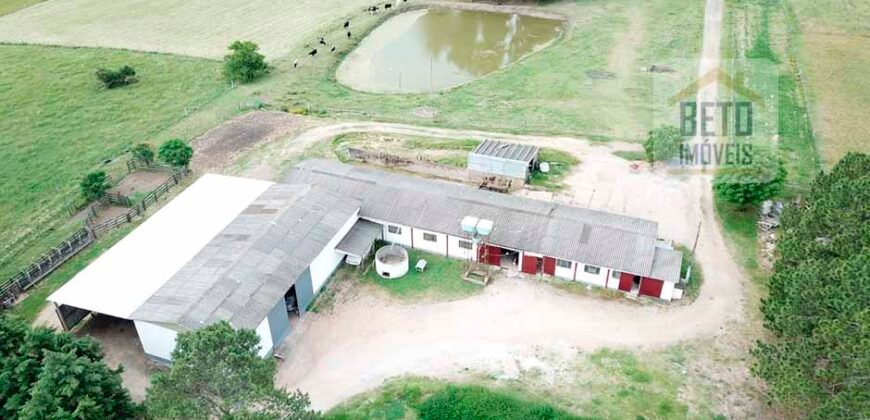 Ótima Fazenda à Venda 78 has Estrutura completa para pecuária ou agricultura Linda casa sede | Região de bagé/ RS