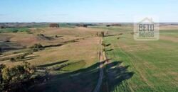 Ótima Fazenda à Venda 78 has Estrutura completa para pecuária ou agricultura Linda casa sede | Região de bagé/ RS