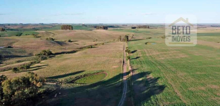 Ótima Fazenda à Venda 78 has Estrutura completa para pecuária ou agricultura Linda casa sede | Região de bagé/ RS