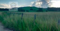 Excelente Fazenda à Venda 250 alqueires Criação de Gado Bovino | Itaboraí/ RJ