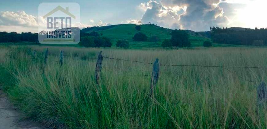 Excelente Fazenda à Venda 250 alqueires Criação de Gado Bovino | Itaboraí/ RJ