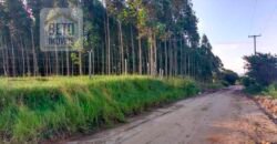 Excelente Fazenda à Venda 250 alqueires Criação de Gado Bovino | Itaboraí/ RJ