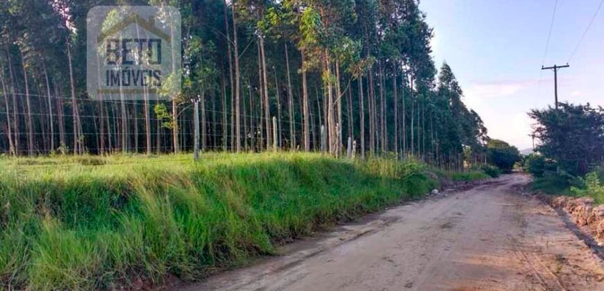 Excelente Fazenda à Venda 250 alqueires Criação de Gado Bovino | Itaboraí/ RJ