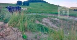 Excelente Fazenda à Venda 250 alqueires Criação de Gado Bovino | Itaboraí/ RJ