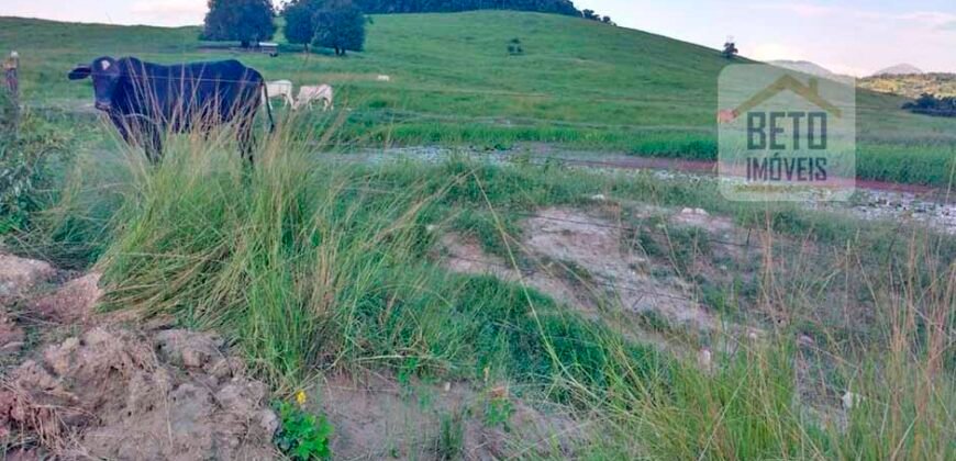Excelente Fazenda à Venda 250 alqueires Criação de Gado Bovino | Itaboraí/ RJ