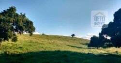 Excelente Fazenda à Venda 250 alqueires Criação de Gado Bovino | Itaboraí/ RJ