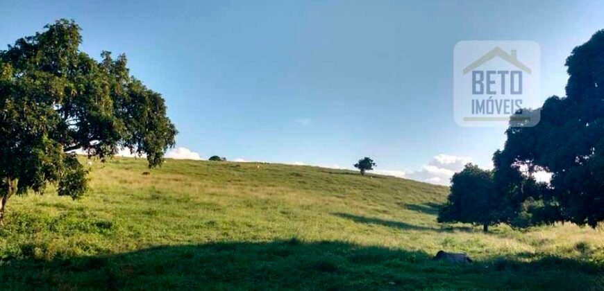 Excelente Fazenda à Venda 250 alqueires Criação de Gado Bovino | Itaboraí/ RJ
