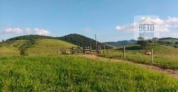 Excelente Fazenda à Venda 250 alqueires Criação de Gado Bovino | Itaboraí/ RJ