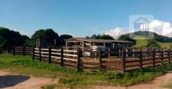 Excelente Fazenda à Venda 250 alqueires Criação de Gado Bovino | Itaboraí/ RJ