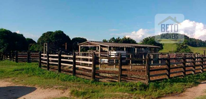 Excelente Fazenda à Venda 250 alqueires Criação de Gado Bovino | Itaboraí/ RJ