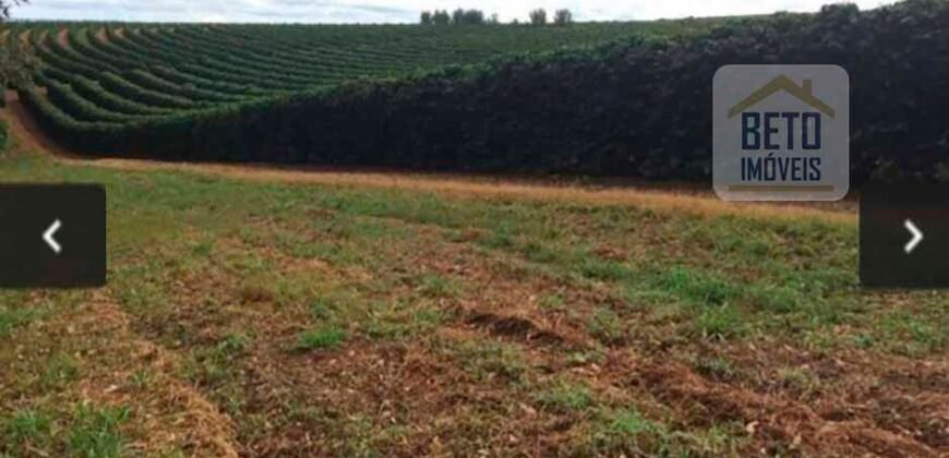 Oportunidade Única. Fazenda Café, Cereais e Pecuária 1.060 hectares Infraestrutura Completa | Região de Araxá/ MG