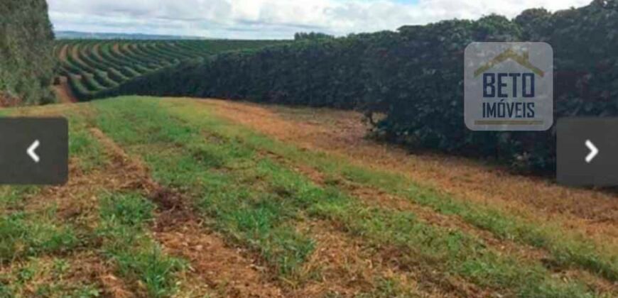Oportunidade Única. Fazenda Café, Cereais e Pecuária 1.060 hectares Infraestrutura Completa | Região de Araxá/ MG