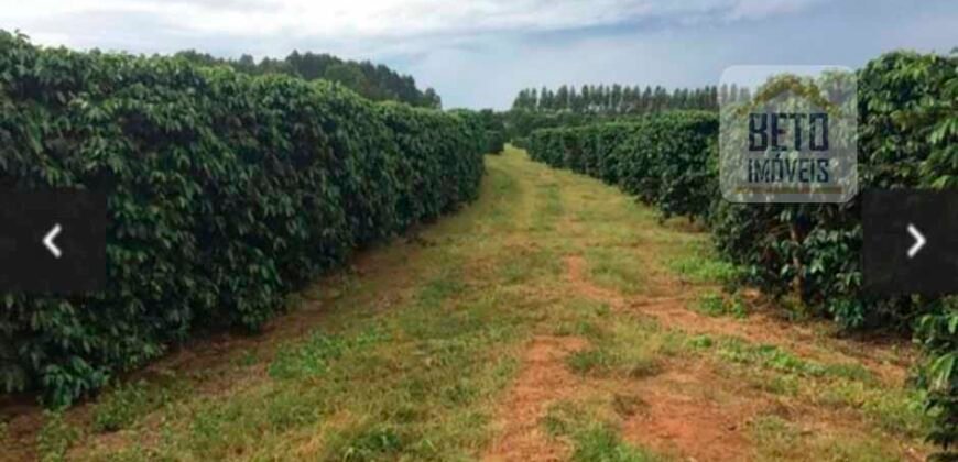 Oportunidade Única. Fazenda Café, Cereais e Pecuária 1.060 hectares Infraestrutura Completa | Região de Araxá/ MG