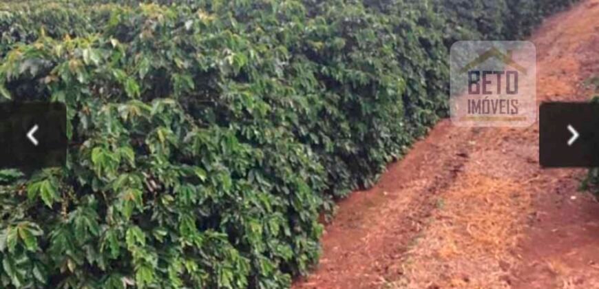 Oportunidade Única. Fazenda Café, Cereais e Pecuária 1.060 hectares Infraestrutura Completa | Região de Araxá/ MG