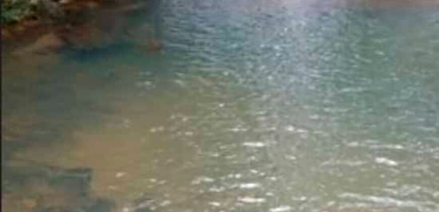 Oportunidade Única. Fazenda Café, Cereais e Pecuária 1.060 hectares Infraestrutura Completa | Região de Araxá/ MG