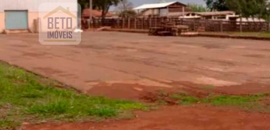 Oportunidade Única. Fazenda Café, Cereais e Pecuária 1.060 hectares Infraestrutura Completa | Região de Araxá/ MG