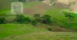 Fazenda à Venda 92 Alqueires com Potencial Pecuário | Rio das Flores/ RJ