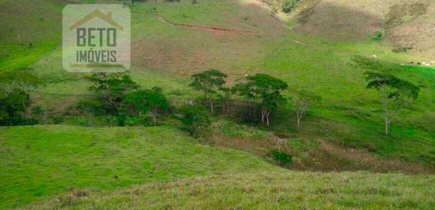 Fazenda à Venda 92 Alqueires com Potencial Pecuário | Rio das Flores/ RJ