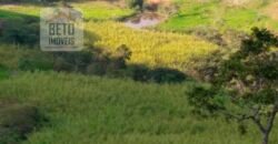 Fazenda à Venda 92 Alqueires com Potencial Pecuário | Rio das Flores/ RJ