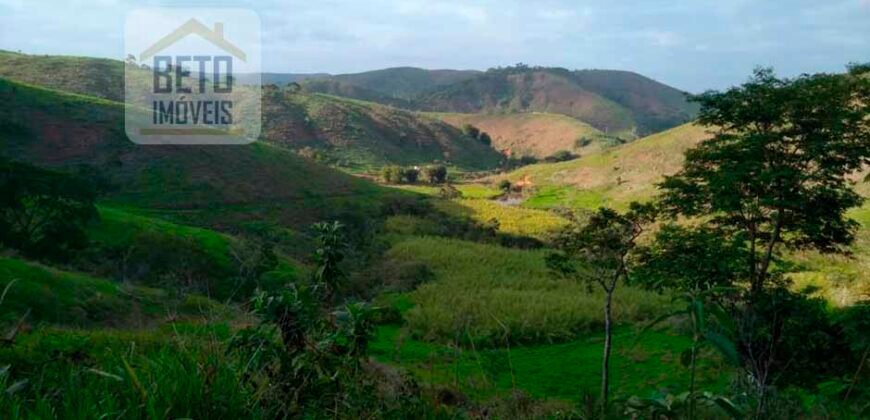 Fazenda à Venda 92 Alqueires com Potencial Pecuário | Rio das Flores/ RJ