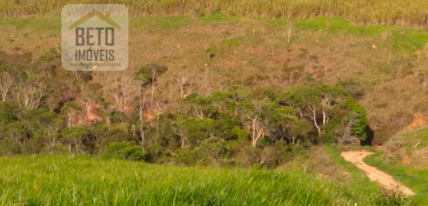 Fazenda à Venda 92 Alqueires com Potencial Pecuário | Rio das Flores/ RJ
