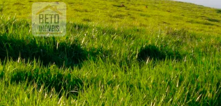 Fazenda à Venda 92 Alqueires com Potencial Pecuário | Rio das Flores/ RJ