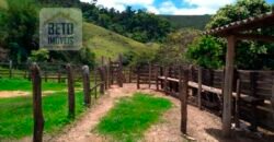 Fazenda à Venda 92 Alqueires com Potencial Pecuário | Rio das Flores/ RJ