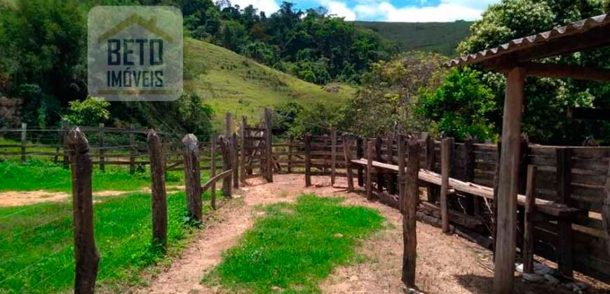 Fazenda à Venda 92 Alqueires com Potencial Pecuário | Rio das Flores/ RJ